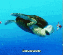 Crush GIF