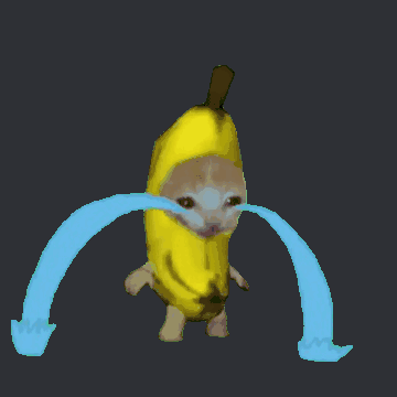 Cry Cat GIF