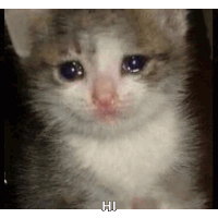 Crying Cat Sad Kitty Sticker