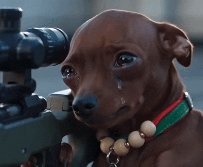 Crying Dog Sad Dog GIF