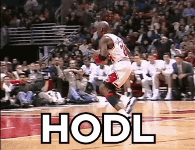 Cryptocurrency Divi GIF