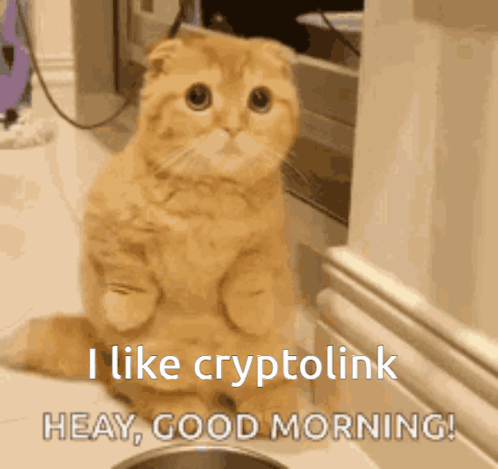 Cryptolink GIF