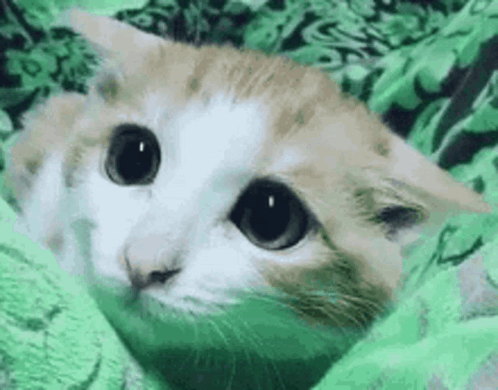 Crystal The Cavern Spirit GIF