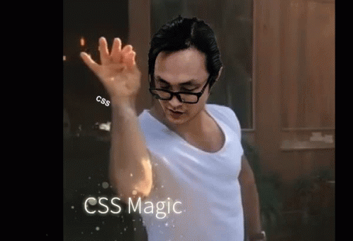 Css Css Magic GIF