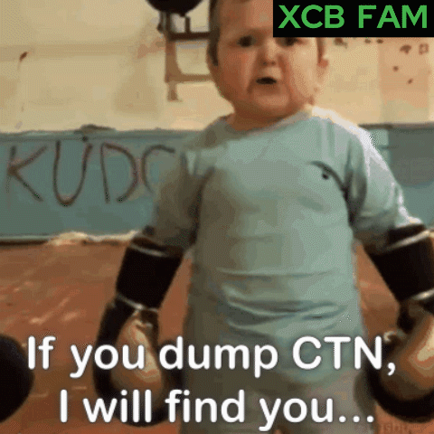 Ctn Dump Ctn Crypto GIF