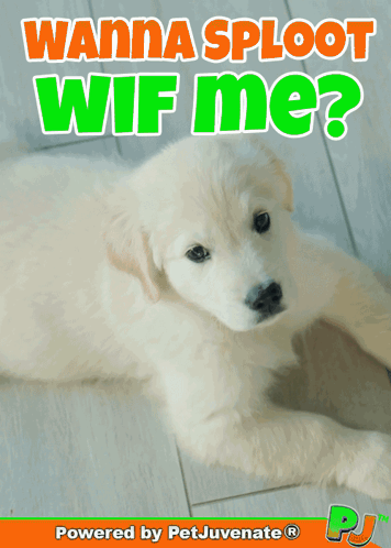 Cuddle Me Want To Cuddle GIF