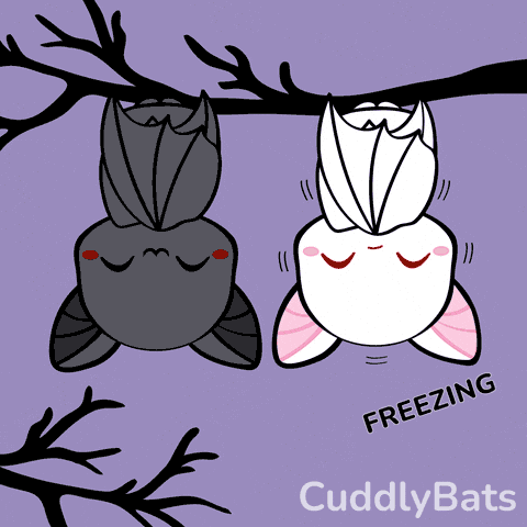 Cuddly Bats Cute GIF