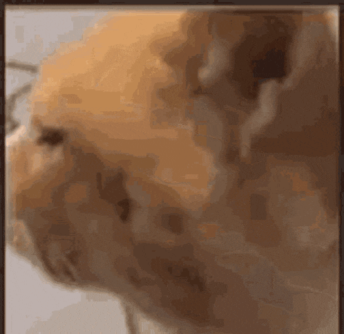 Cummins GIF