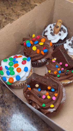 Cupcakes Dessert GIF