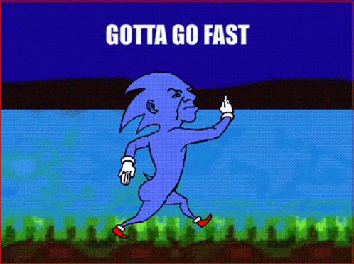 Cursed Sonic Gotta Go Fast GIF