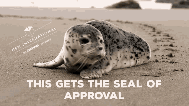Cute Animals Cute GIF