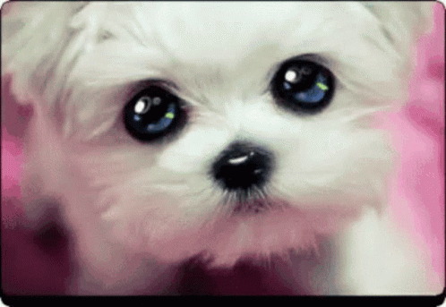Cute Baby Eyes GIF
