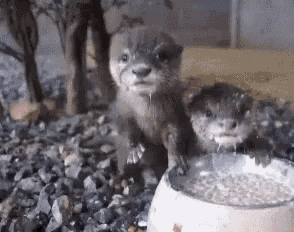 Cute Baby GIF