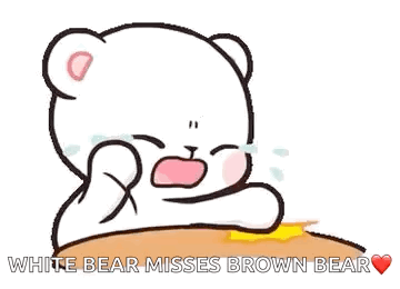 Cute Bear GIF