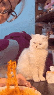 Cute Cat Cat Noodles GIF