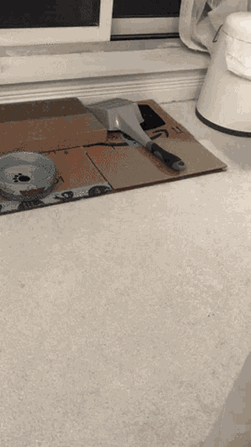 Cute Cat GIF