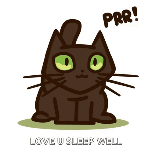 Cute Cat Funny Cat GIF