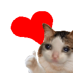 Cute Cat Kitty Dislikes Sticker