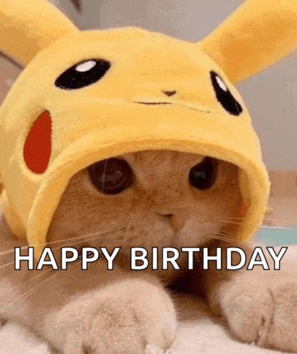 Cute Cat Meme