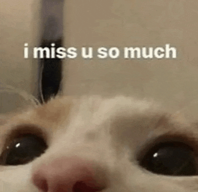 Cute Cat Meme
