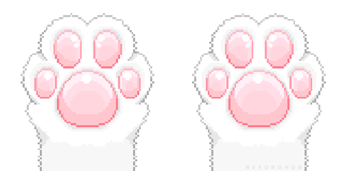 Cute Cat GIF