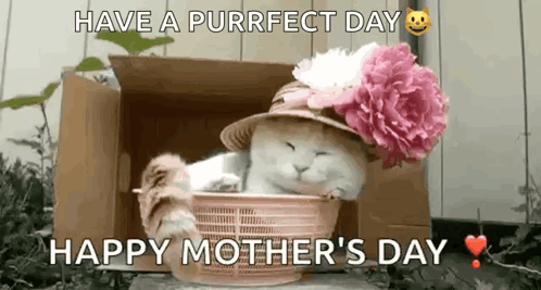 Cute Cat Princess GIF