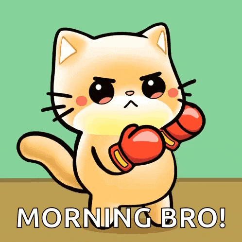 Cute Cat GIF