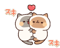 Cute Cats Sticker