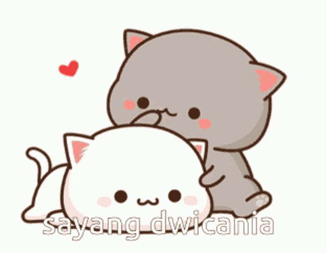Cute Couple GIF