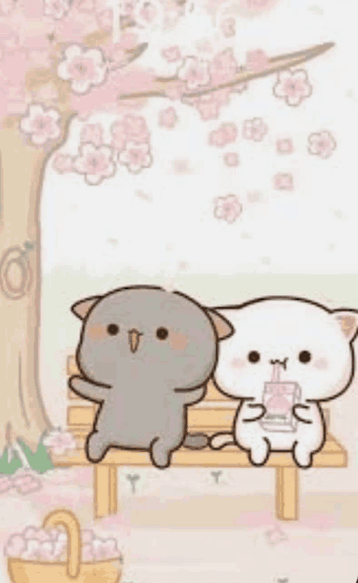 Cute Couple Pic Meme