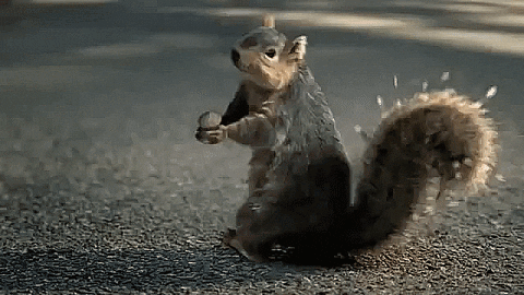 Cute GIF