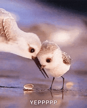 Cute GIF
