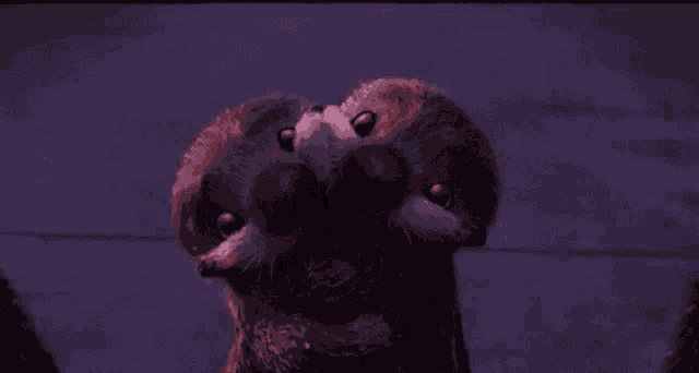 Cute Finding GIF