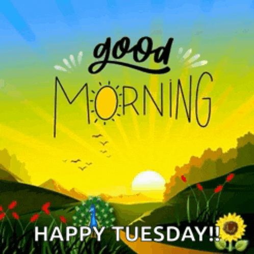 Cute Good Morning Meme