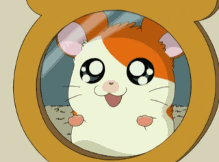 Cute Hamtaro GIF