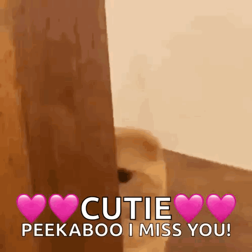 Cute Hide GIF