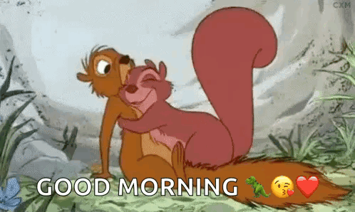Cute Hug GIF. This 498 x 298 animated GIF is part of our funny squirrel collection. Related themes include cute. Created by brookecapps. View the original…