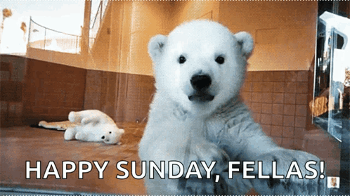 Cute Kawaii GIF. This 498 x 279 animated GIF is part of our bear waving collection. Related themes include baby, cute, hello. Created by justinspears. View…