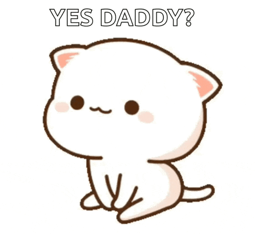 Cute Kitty GIF