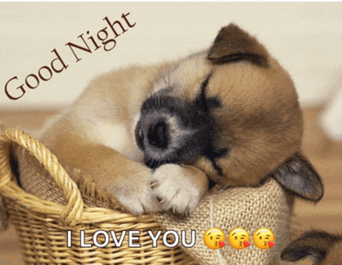 Cute Meme