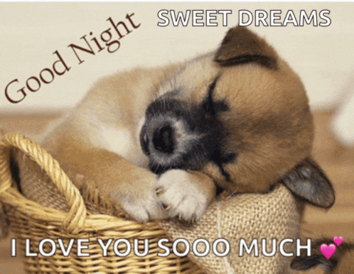 Cute Meme