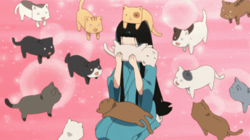 Cute Pink Cat GIF
