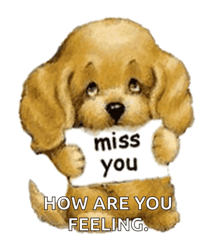 Cute Puppy Puppy GIF