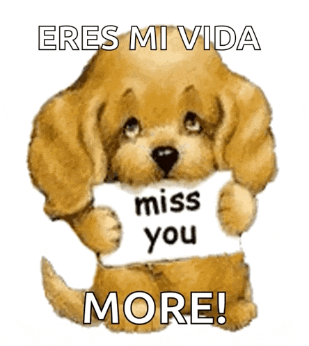 Cute Puppy Puppy GIF