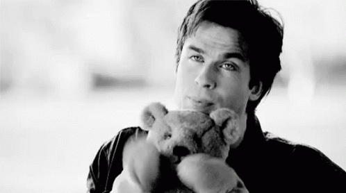Cute Teddy Bear GIF