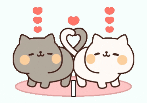 Cutecats Kitten GIF