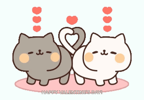 Cutecats Kitten GIF
