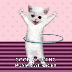 Cutecore GIF