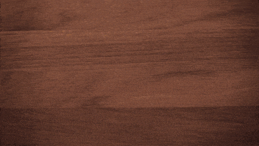 Cwm Latte Catalina Whale Mixer GIF