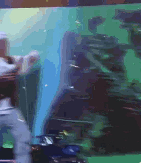 D Ark Kim Woorim GIF